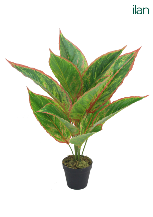 ARTIFICIAL TARO PLANT PLANT-1.5FT - Image 3