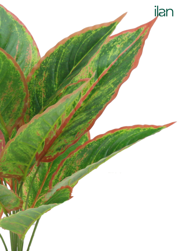 ARTIFICIAL TARO PLANT PLANT-1.5FT - Image 4