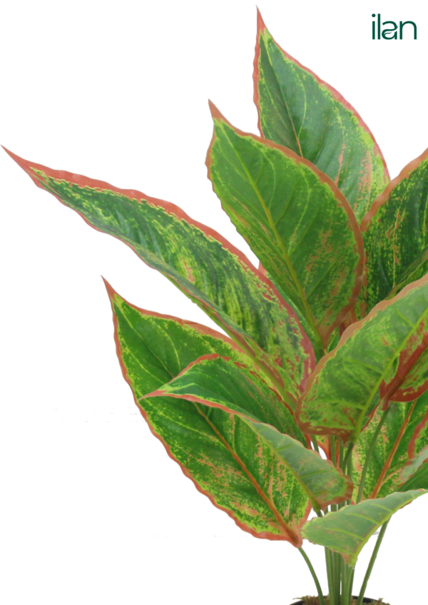 ARTIFICIAL TARO PLANT PLANT-1.5FT - Image 5