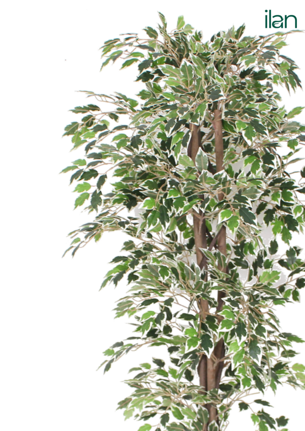 ARTIFICIAL FICUS TREE-5.3FT - Image 3