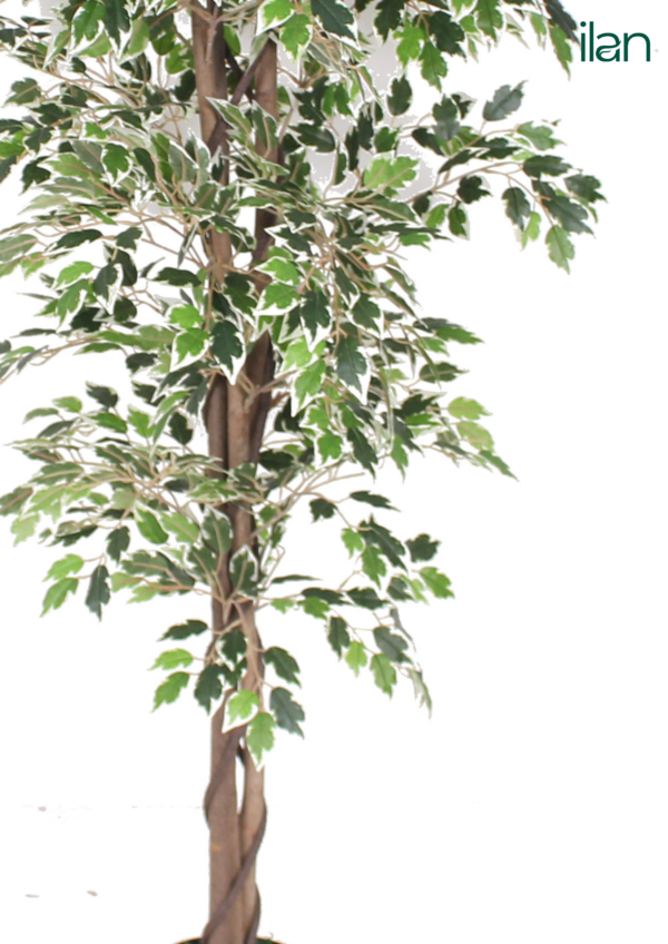 ARTIFICIAL FICUS TREE-5.3FT - Image 4