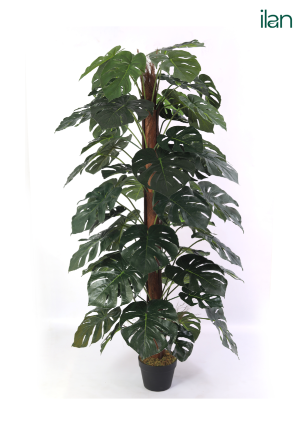 ARTIFICIAL POLE MONTERA PLANT-4FT - Image 7