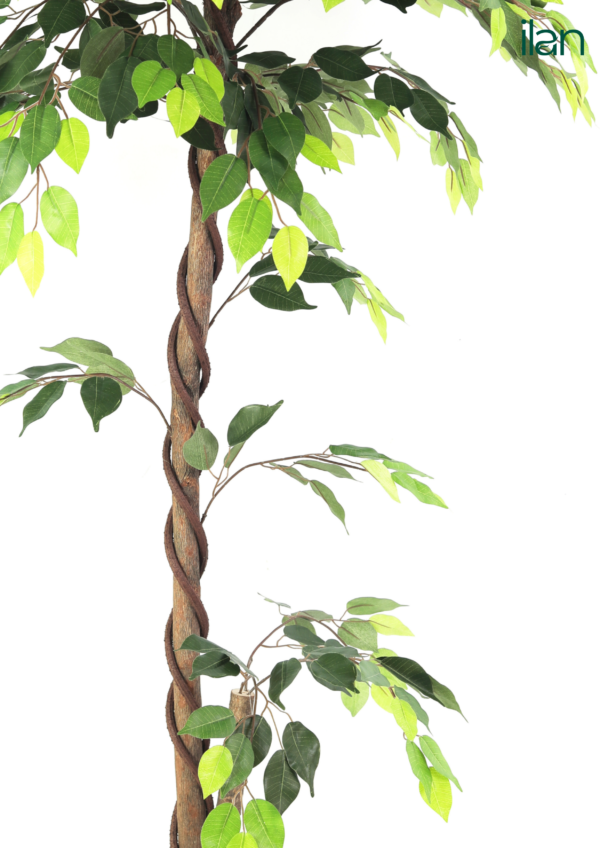 ARTIFICIAL FICUS PLANT-5.3FT - Image 3