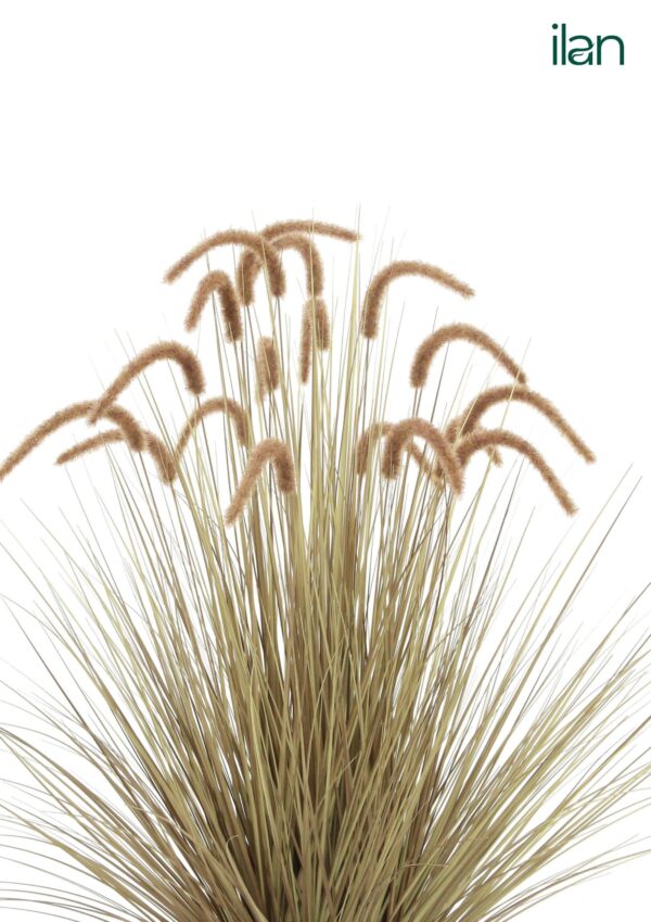 ARTIFICIAL RUSTIC REEDGRASS PLANT-4FT - Image 3