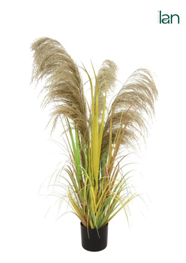 ARTIFICIAL DRIED PAMPAS GRASS PLANT-4FT