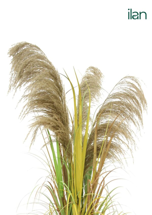 ARTIFICIAL DRIED PAMPAS GRASS PLANT-4FT - Image 2