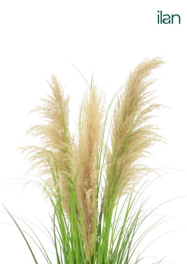 ARTIFICIAL PAMPAS GRASS PLANT-4FT - Image 3