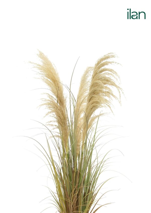 ARTIFICIAL GOLDEN PAMPAS GRASS PLANT-4FT - Image 2