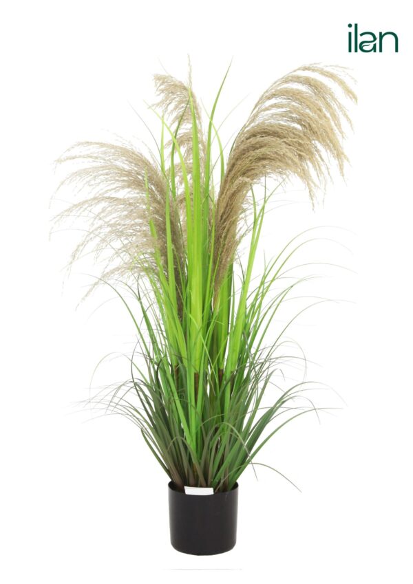 ARTIFICIAL ARGENTINA PAMPAS GRASS PLANT-4FT