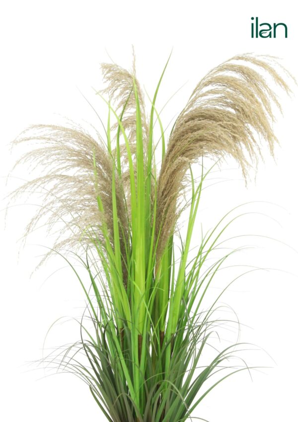 ARTIFICIAL ARGENTINA PAMPAS GRASS PLANT-4FT - Image 2