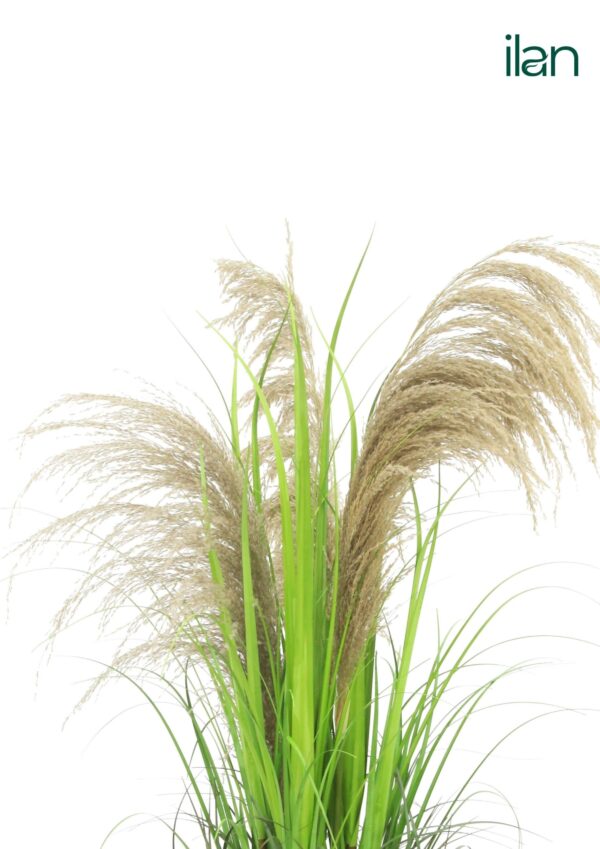 ARTIFICIAL ARGENTINA PAMPAS GRASS PLANT-4FT - Image 3