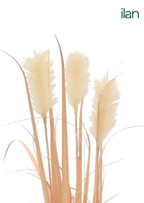 ARTIFICIAL BLUSHING REED PLANT-4FT - Image 3