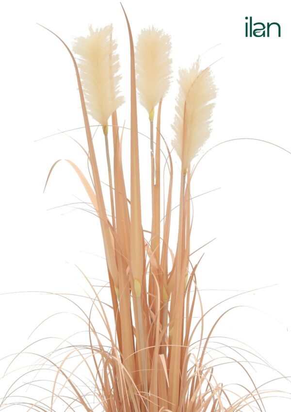 ARTIFICIAL BLUSHING REED PLANT-4FT - Image 2